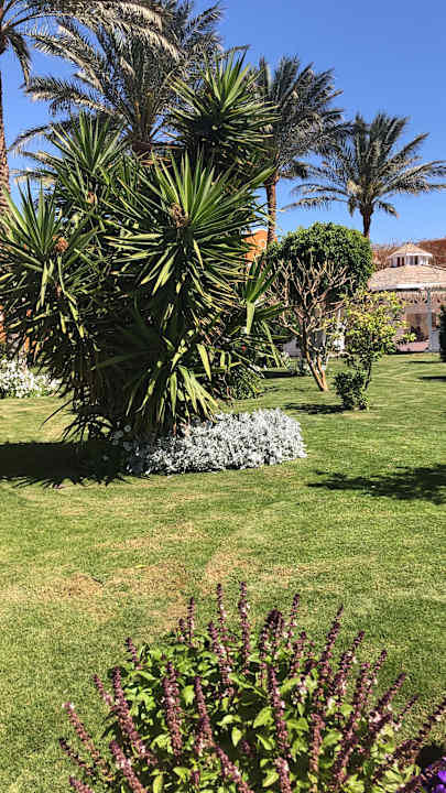 Gartenanlage Sentido Caribbean World Soma Bay