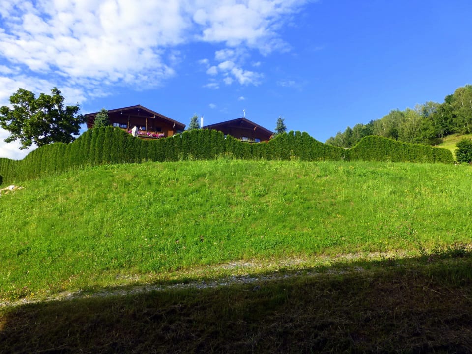 Kunstvoll geschnittene Thujen Sonnhof Alpendorf - Adults only