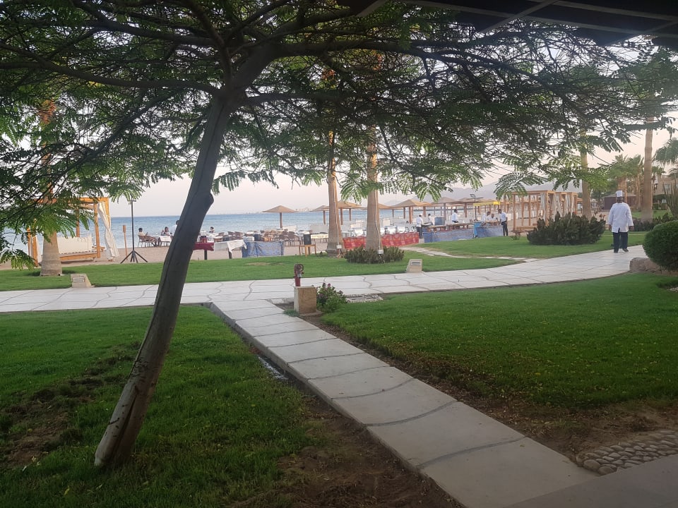 Zimmer Shams Prestige Abu Soma-Adults Only