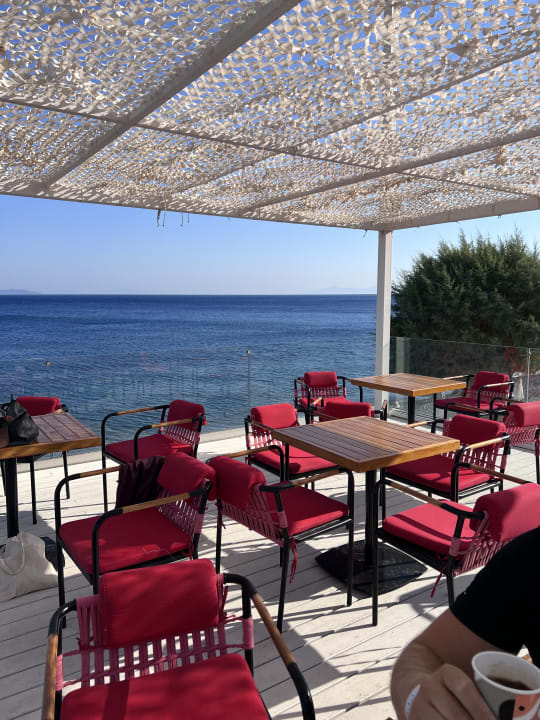 Gastro Dimitra Beach Hotel & Suites
