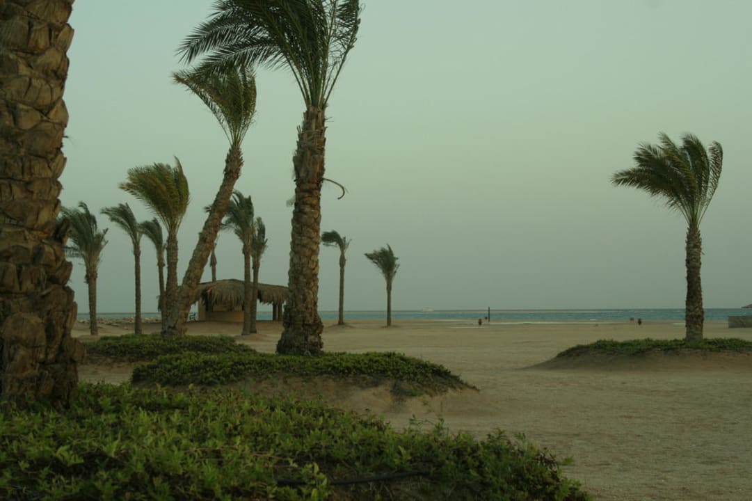 Garten und Strand ROBINSON SOMA BAY