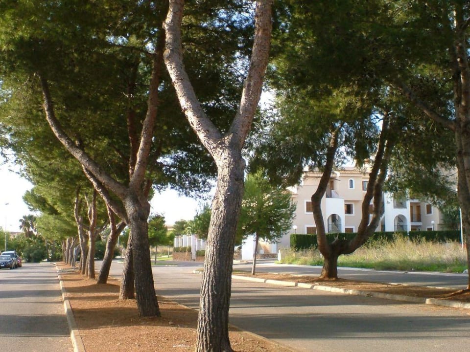 An dieser Strasse liegt das Resort Protur Floriana Resort Aparthotel