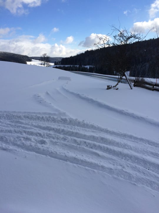 Ausblick Ferienwohnungen Stalterhof