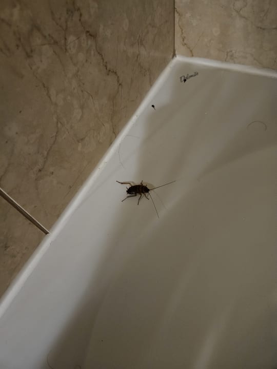 Zimmer Lindos Princess Beach Resort & Spa