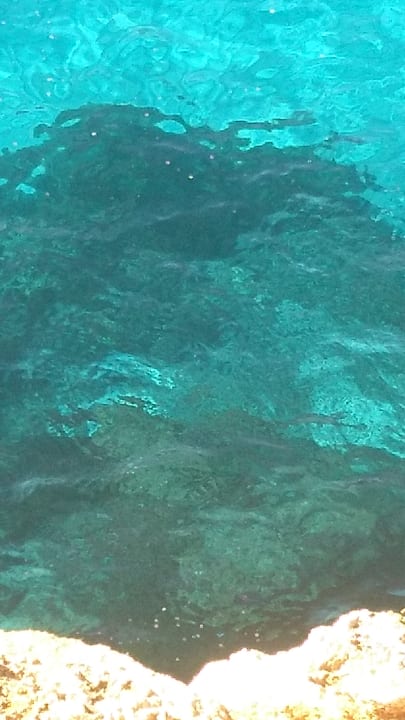 Strand blau punta reina