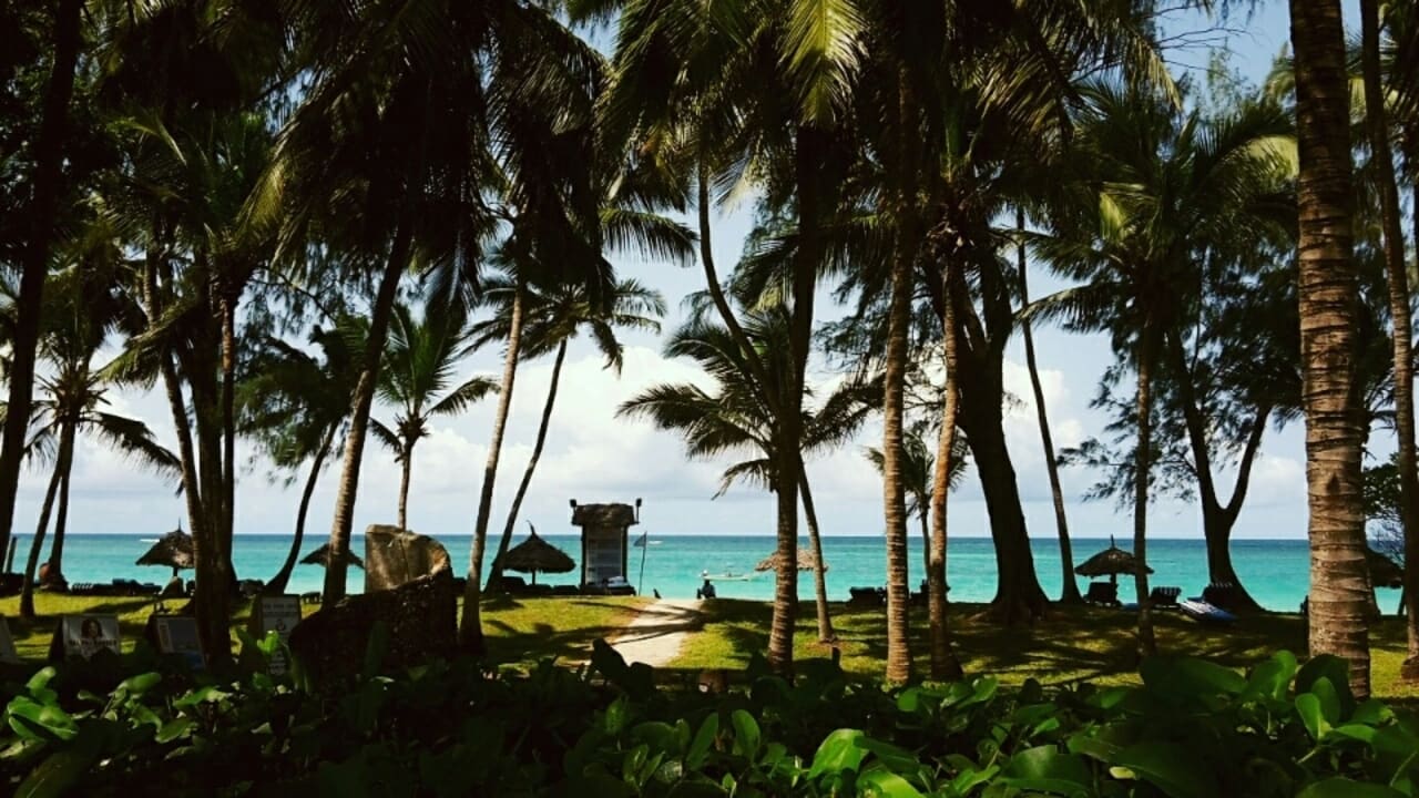 Gartenanlage Diani Sea Resort