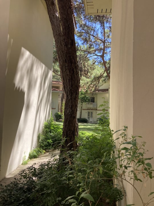 Gartenanlage Ulusoy Kemer Holiday Club