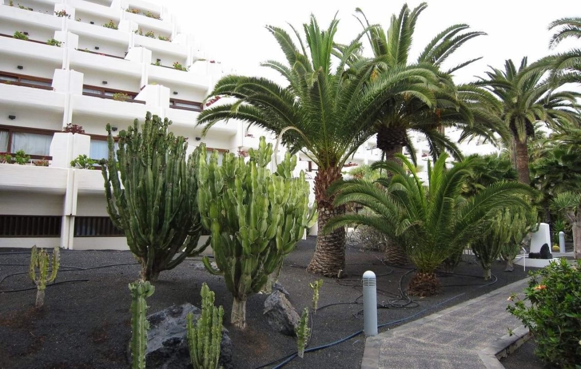Garden Paradisus by Meliá Salinas Lanzarote