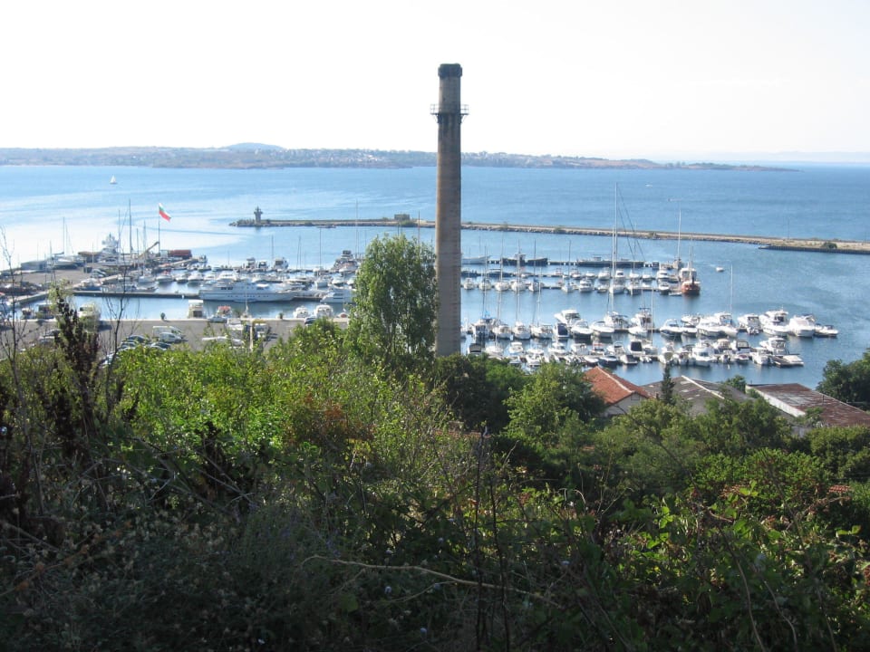 Zum Hafen Hotel Selena Star