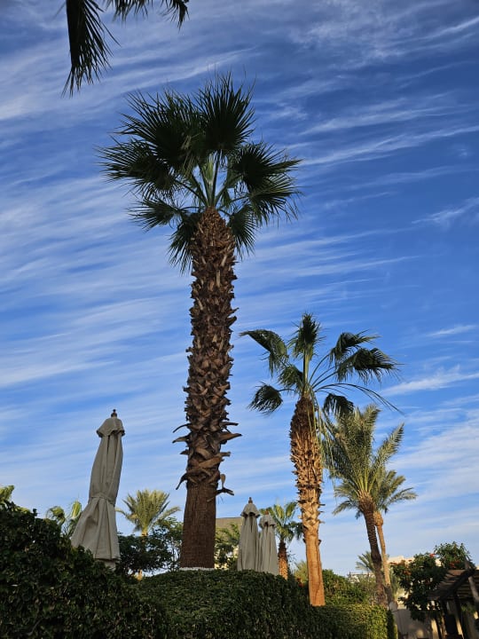 Gartenanlage Steigenberger Aqua Magic