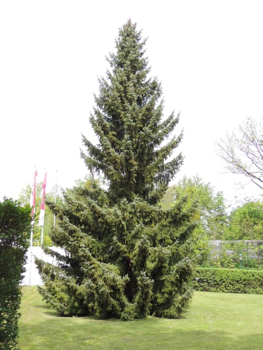 An der Hotelanfahrt Austria Trend Hotel Schloss Wilhelminenberg