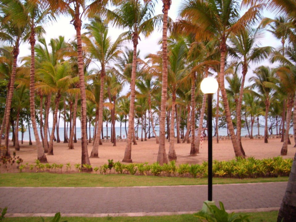 Ausblick vom Restaurant Playabachata Hotel