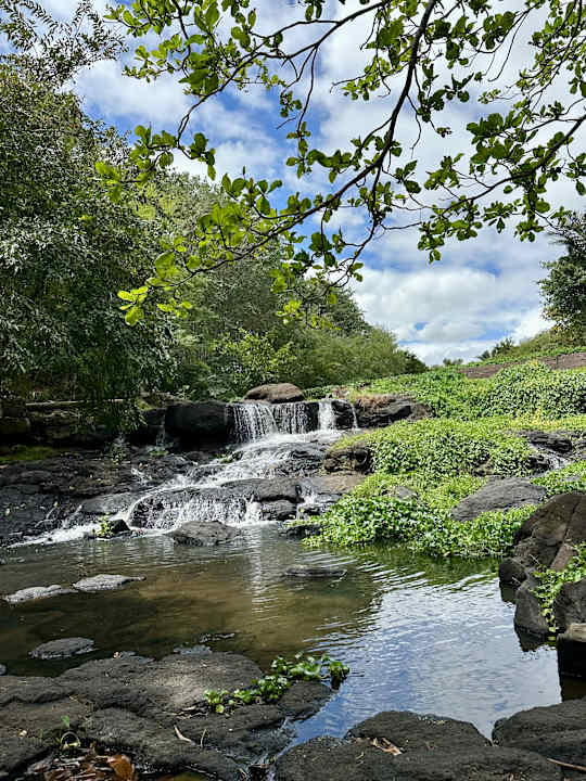 Gartenanlage Maritim Resort & Spa Mauritius