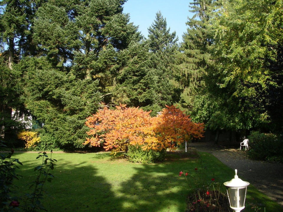 Le parc L'AO Hôtel & Restaurant L'Aigle d'Or