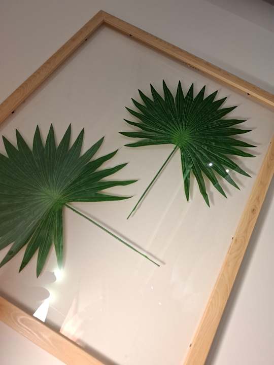 Zimmer Hotel Convictus Cracovia for business & travellers