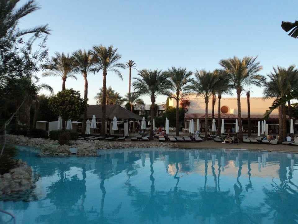 Pool Ghazala Gardens