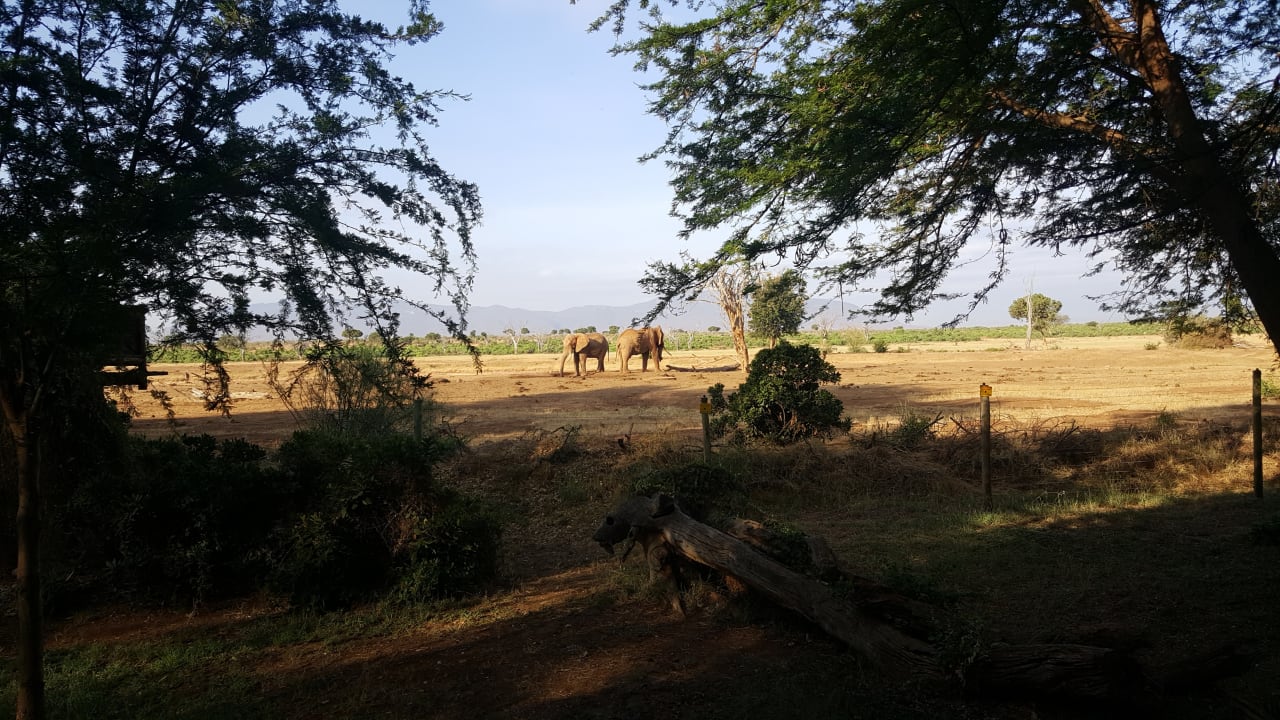 Ausblick Sentrim Tsavo Lodge