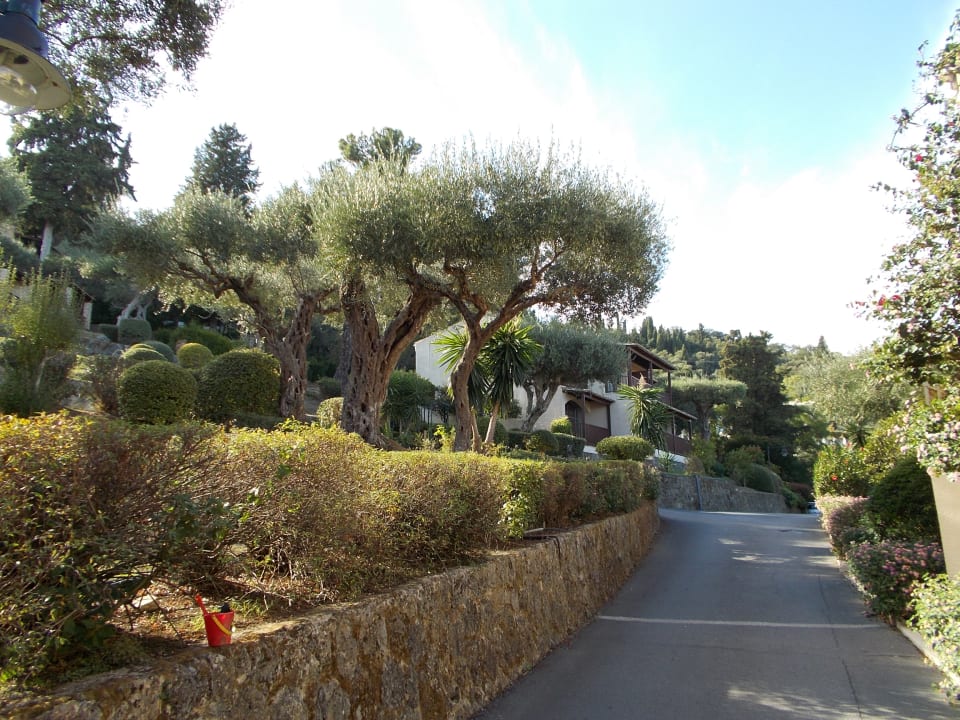 Zimmer Aeolos Beach Resort