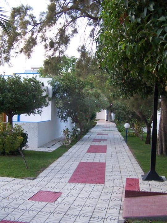 The resort Hotel Tigaki's Star