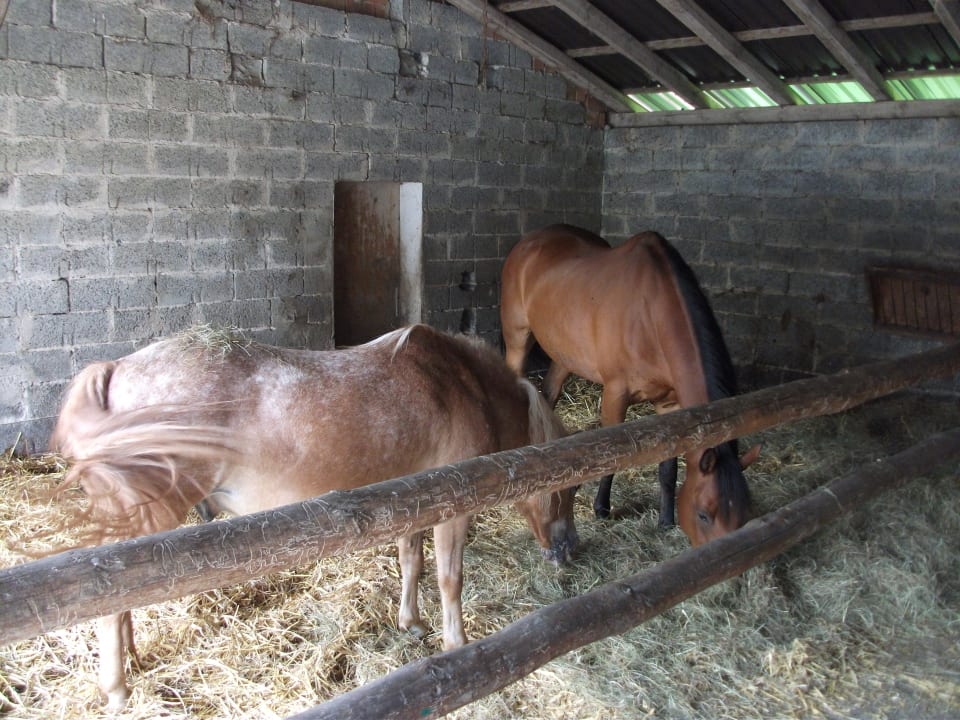 Sonstiges Wiesenberghof