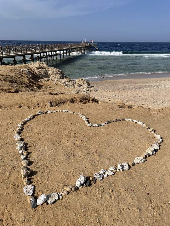 Strand Steigenberger Resort Alaya Marsa Alam - Red Sea - Adults only