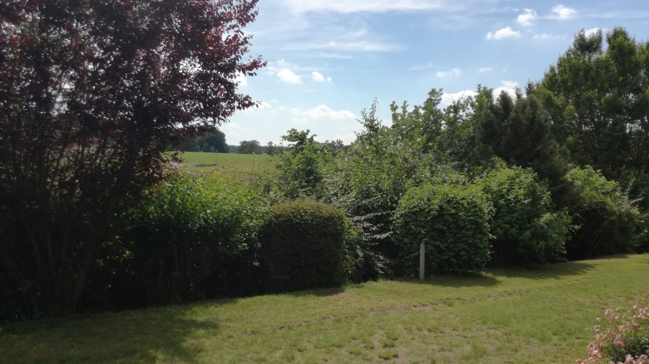 Ausblick Ringhotel Landhotel Buller