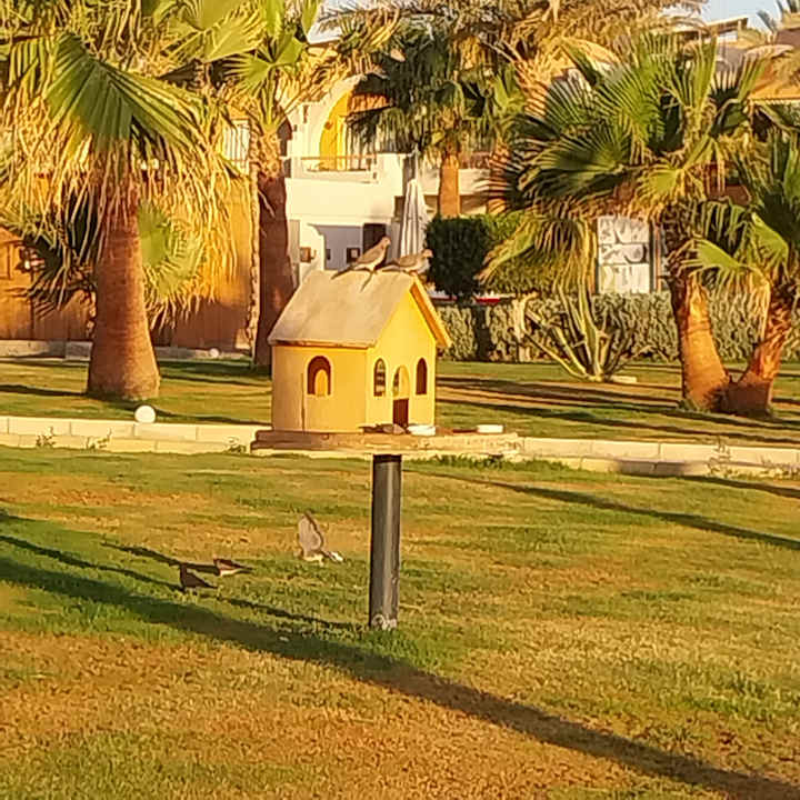 Gartenanlage Three Corners Sea Beach Resort