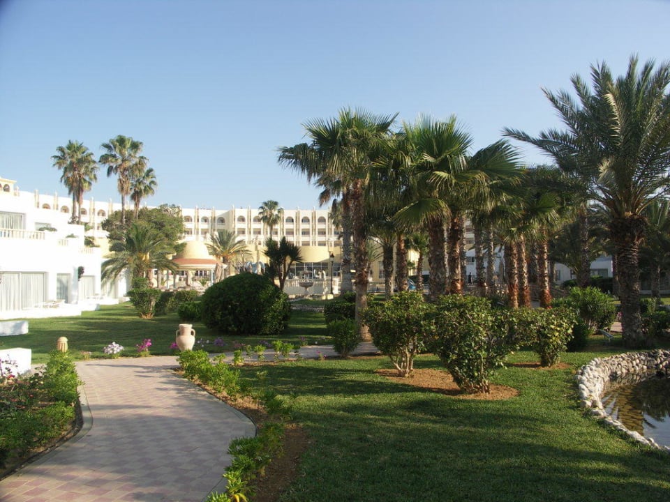 Утро Steigenberger Marhaba Thalasso Hammamet