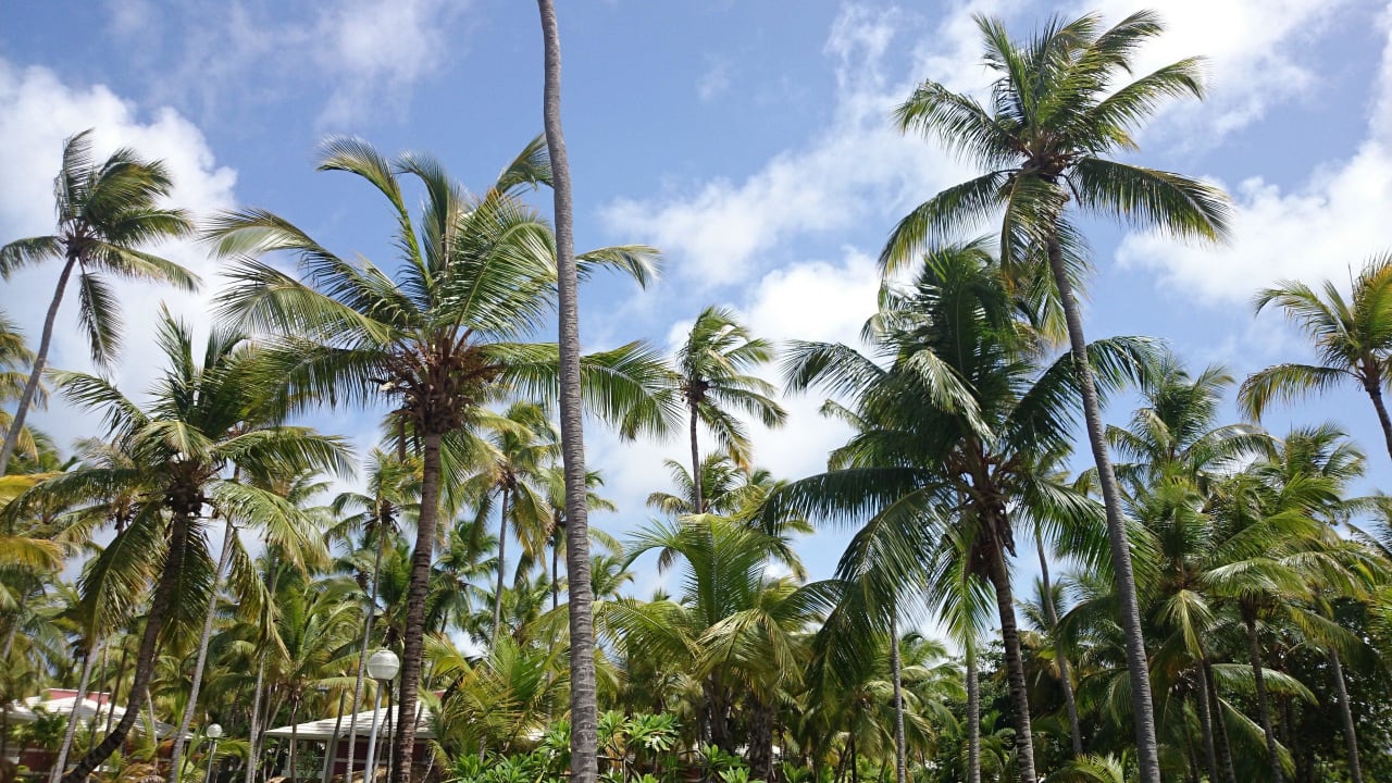 Herrlich Grand Palladium Select Bávaro Resort & Spa