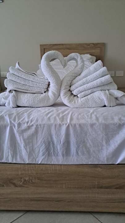 Zimmer Three Corners Sea Beach Resort