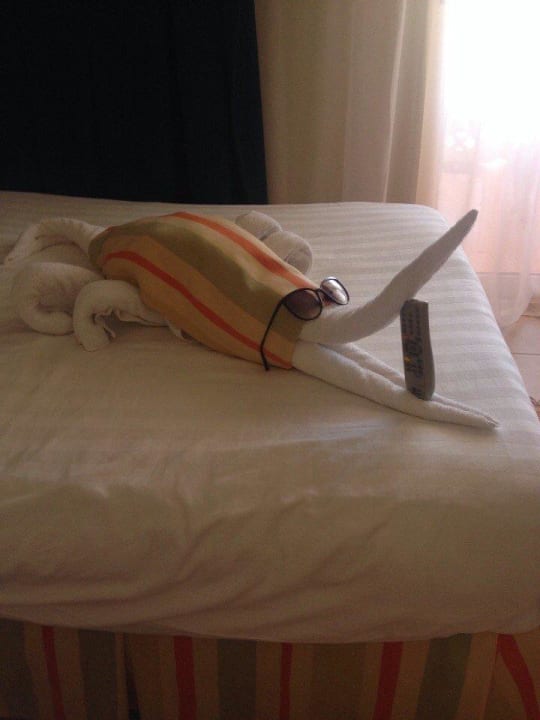 Сюрприз от уборщика  Serenity Alpha Beach