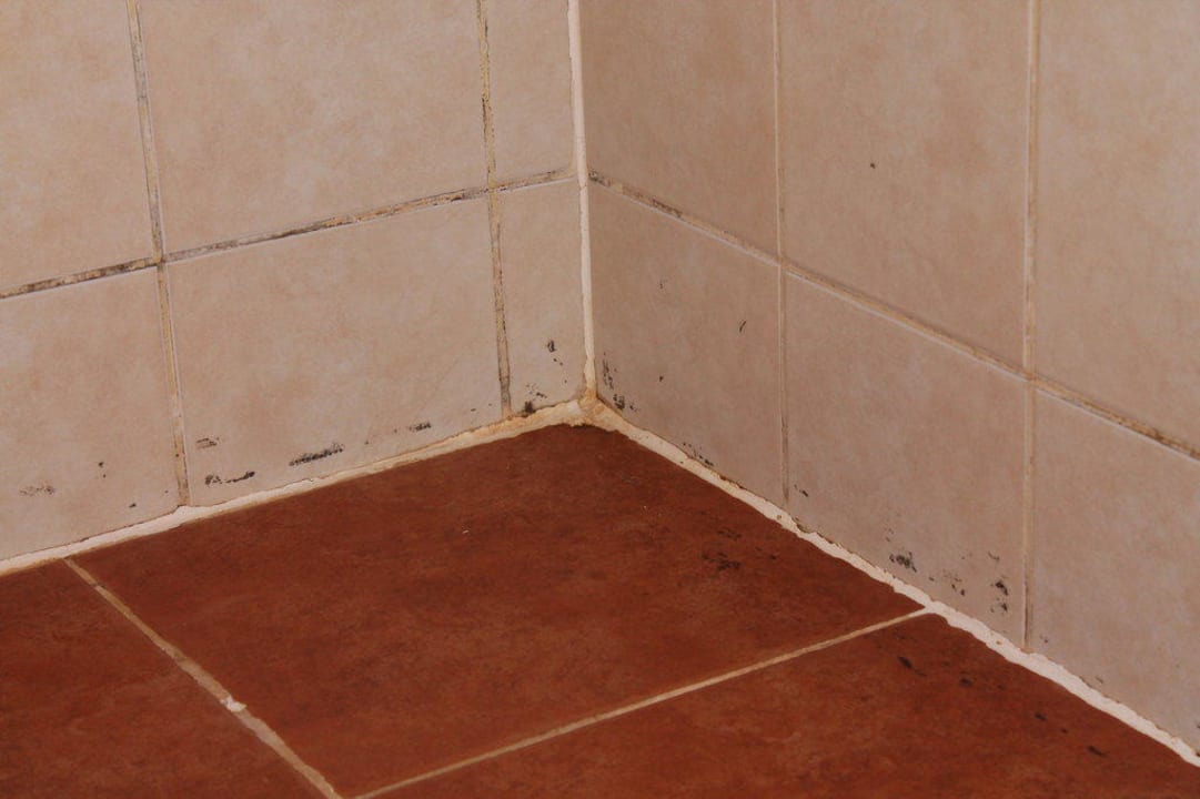 Dusche Kaya Artemis Resort