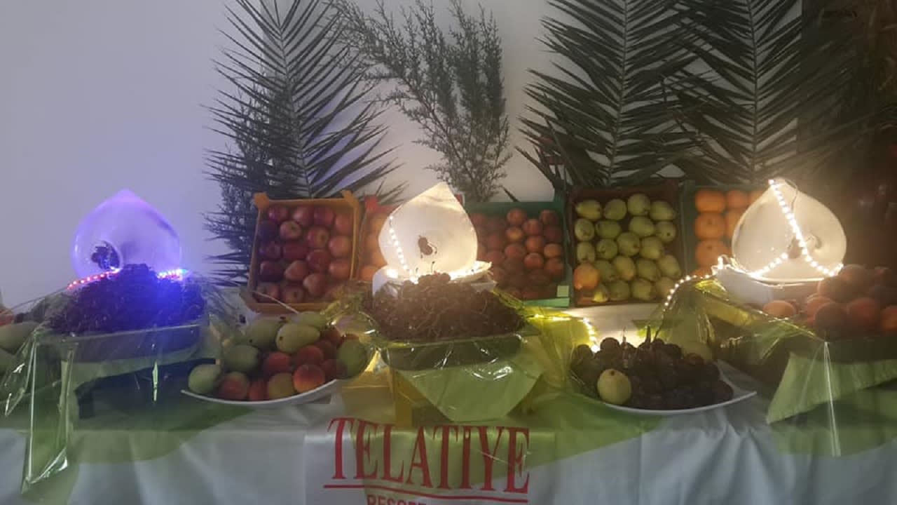 Gastro Telatiye Resort