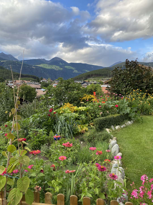 Ausblick Hotel Waldheim