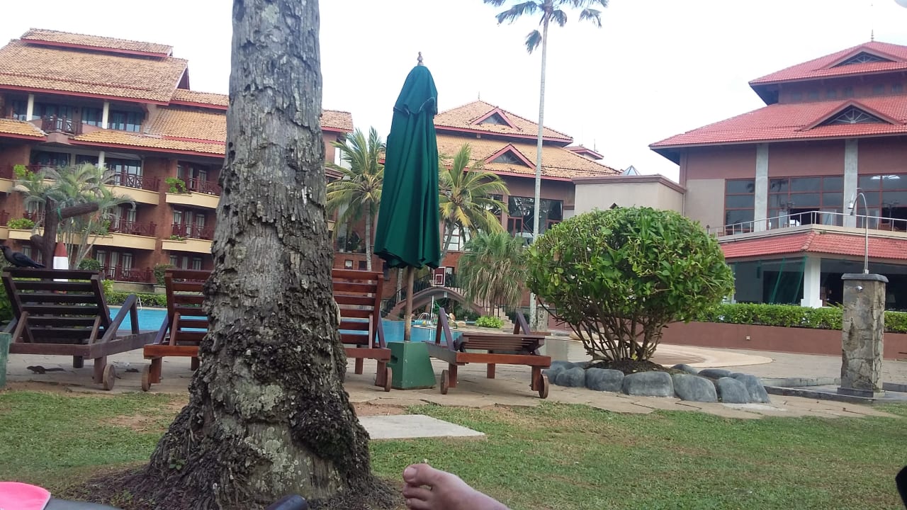 Gartenanlage Royal Palms Beach Hotel