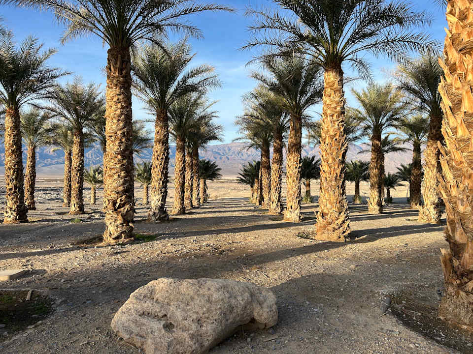 Ausblick The Inn at Death Valley