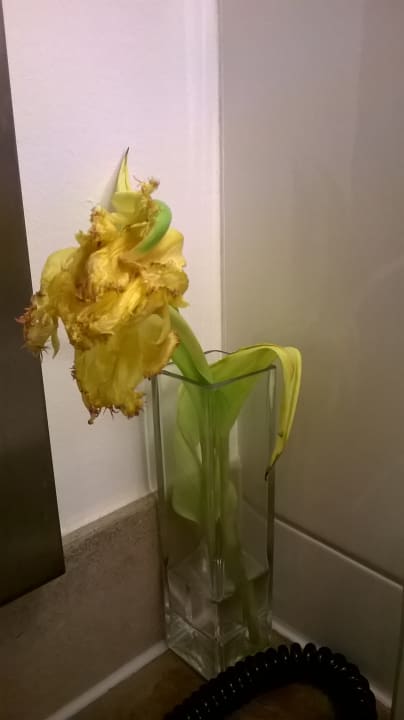 Zimmer Hotel Mondial am Dom Cologne- MGallery