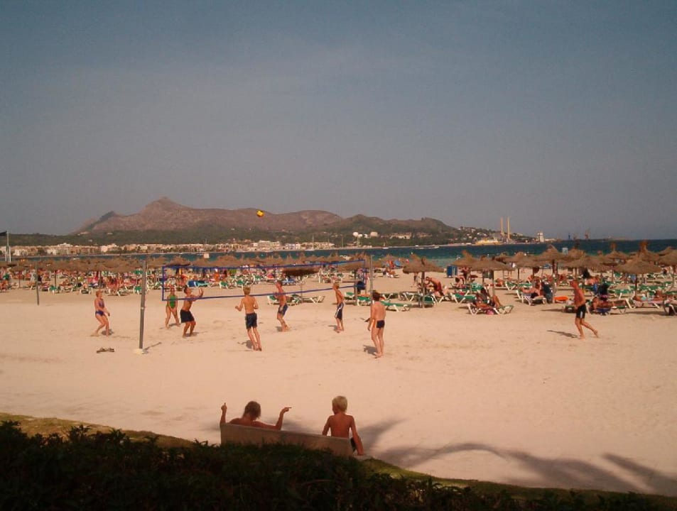 Strand vorm Paraiso de Alcudia Aparthotel Paraiso De Alcudia