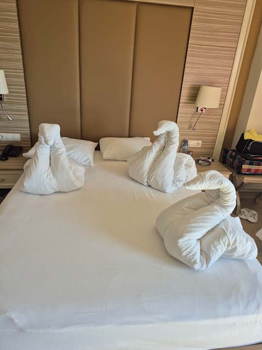 Zimmer Delphin Deluxe Resort