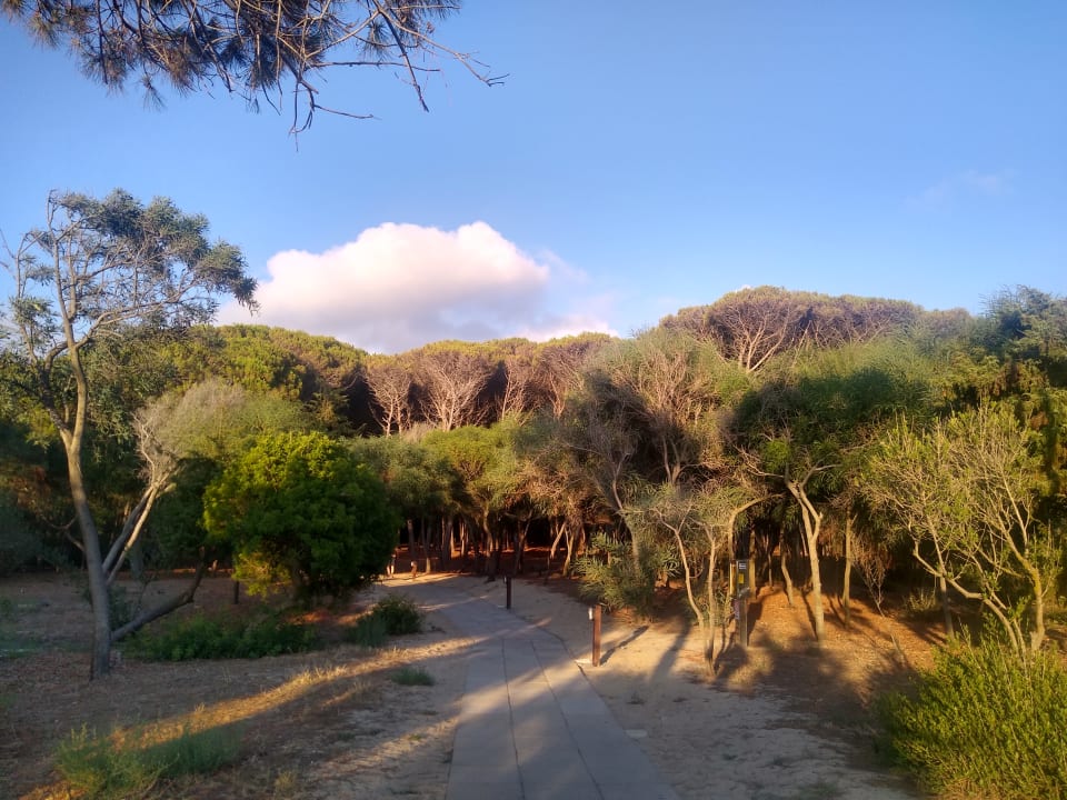 Strand TUI MAGIC LIFE Calabria