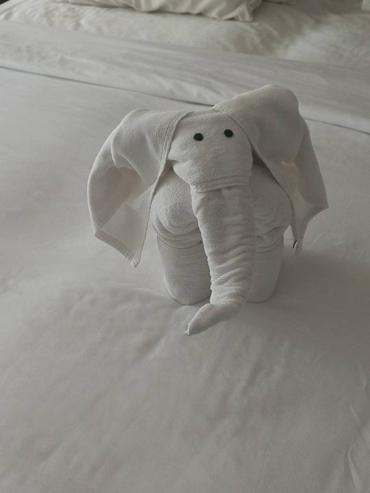 Sonstiges Thaala Bentota