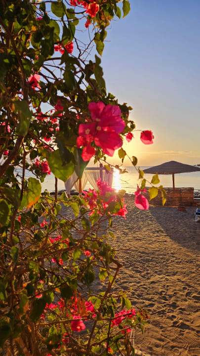 Strand Fort Arabesque Resort, Spa & Villas