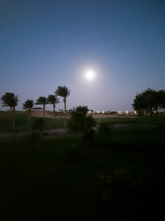 Gartenanlage Steigenberger Makadi Hotel - Adults only