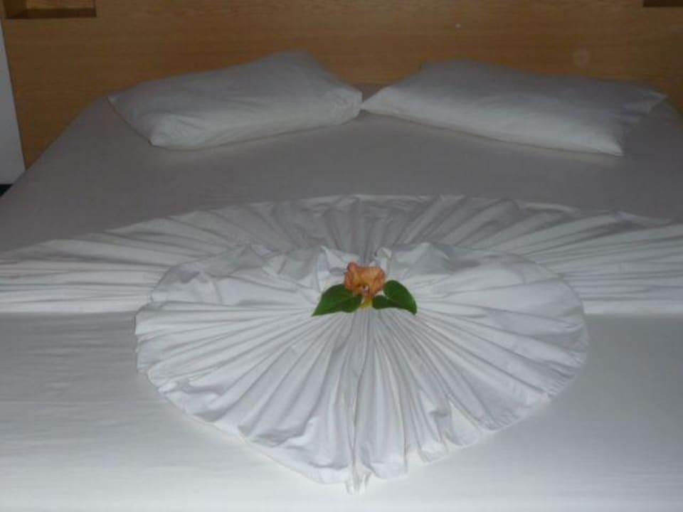 Creazioni maldiviane Hotel Asdu