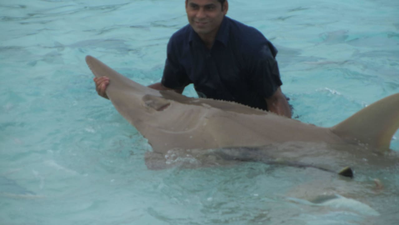 Sehr mutig NH Collection Maldives Reethi Resort