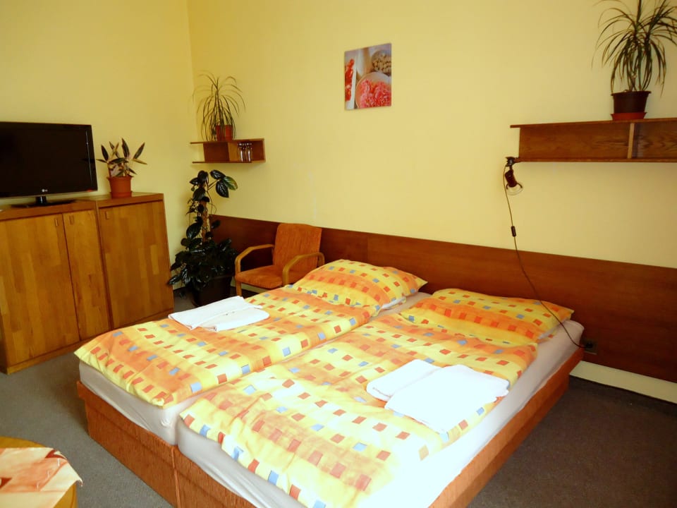 Dvoulůžkový pokoj s manželskou postelí Hotel Květnice