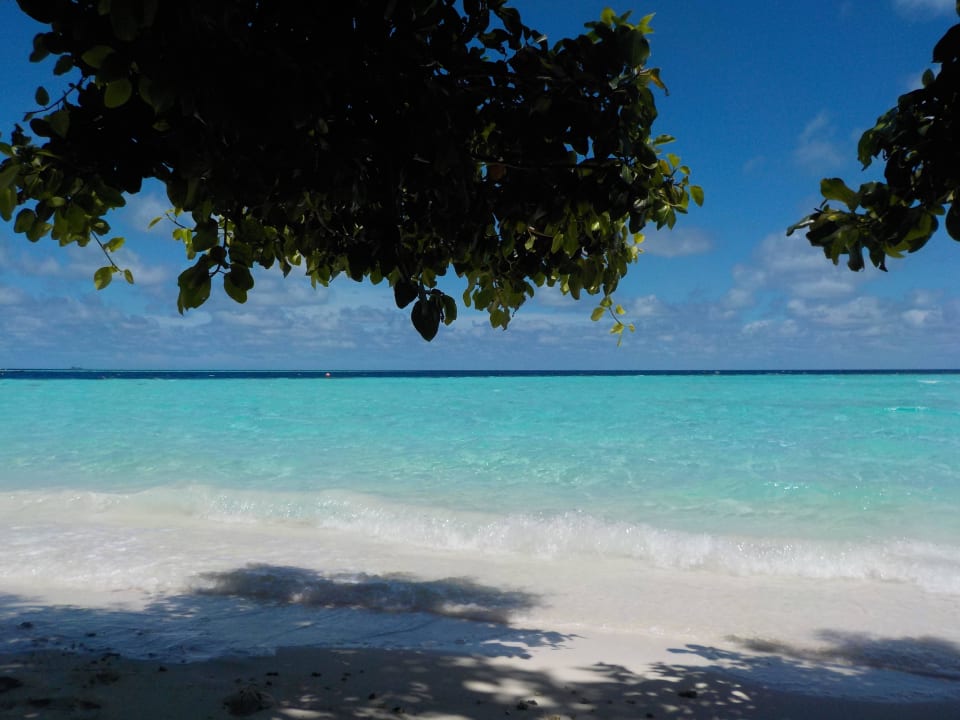 Traumstrand Biyadhoo Island Resort