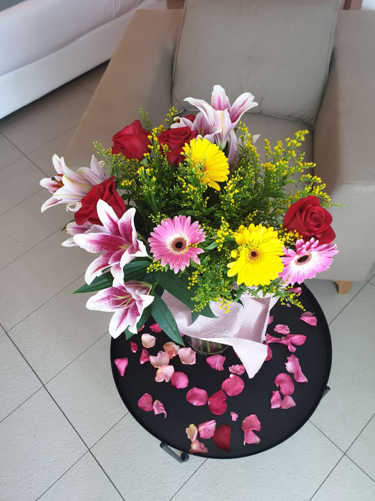 Zimmer Seaside A Lifestyle Resort