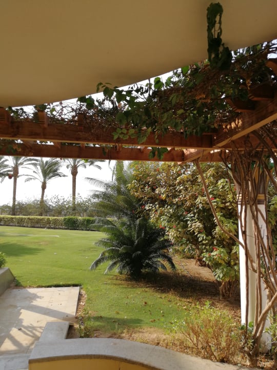 Gartenanlage Palm Royale Resort - Soma Bay