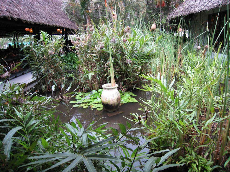 Tropenparadies mitten im Hotel Hotel Southern Palms Beach Resort